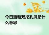 今日更新双挖孔屏是什么意思