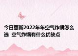 今日更新2022年年空气炸锅怎么选  空气炸锅有什么优缺点