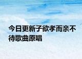 今日更新子欲孝而亲不待歌曲原唱