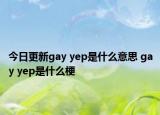 今日更新gay yep是什么意思 gay yep是什么梗
