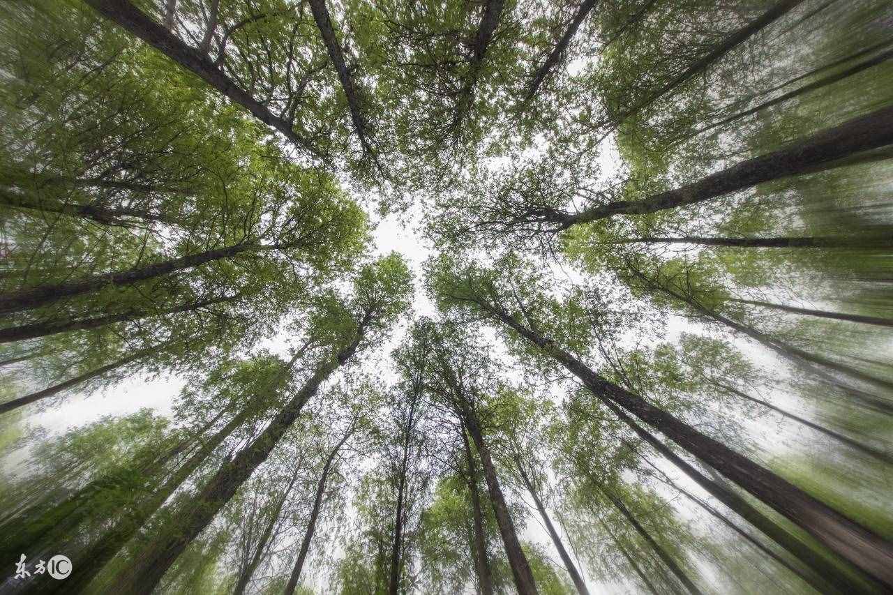 转正申请怎么写？推荐几篇接地气的 以后用得着