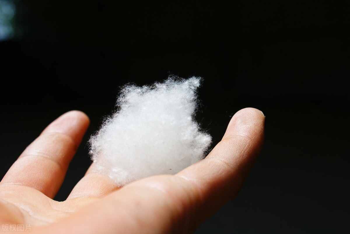 羽绒服和羽绒棉有什么区别？怎么选才适合？这篇教给你
