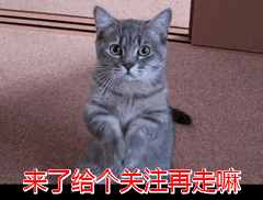 道术合一，周易预测学基础入门方法