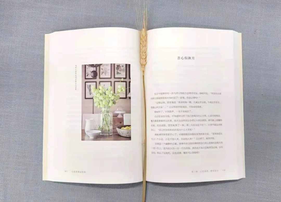 林清玄：心情不好的时候，试试这四个方法