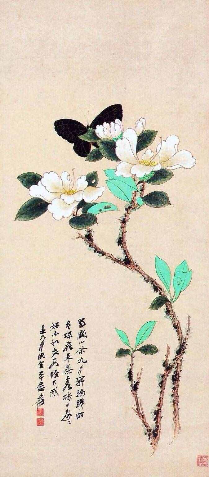 珍藏｜张大千花鸟画（100幅）