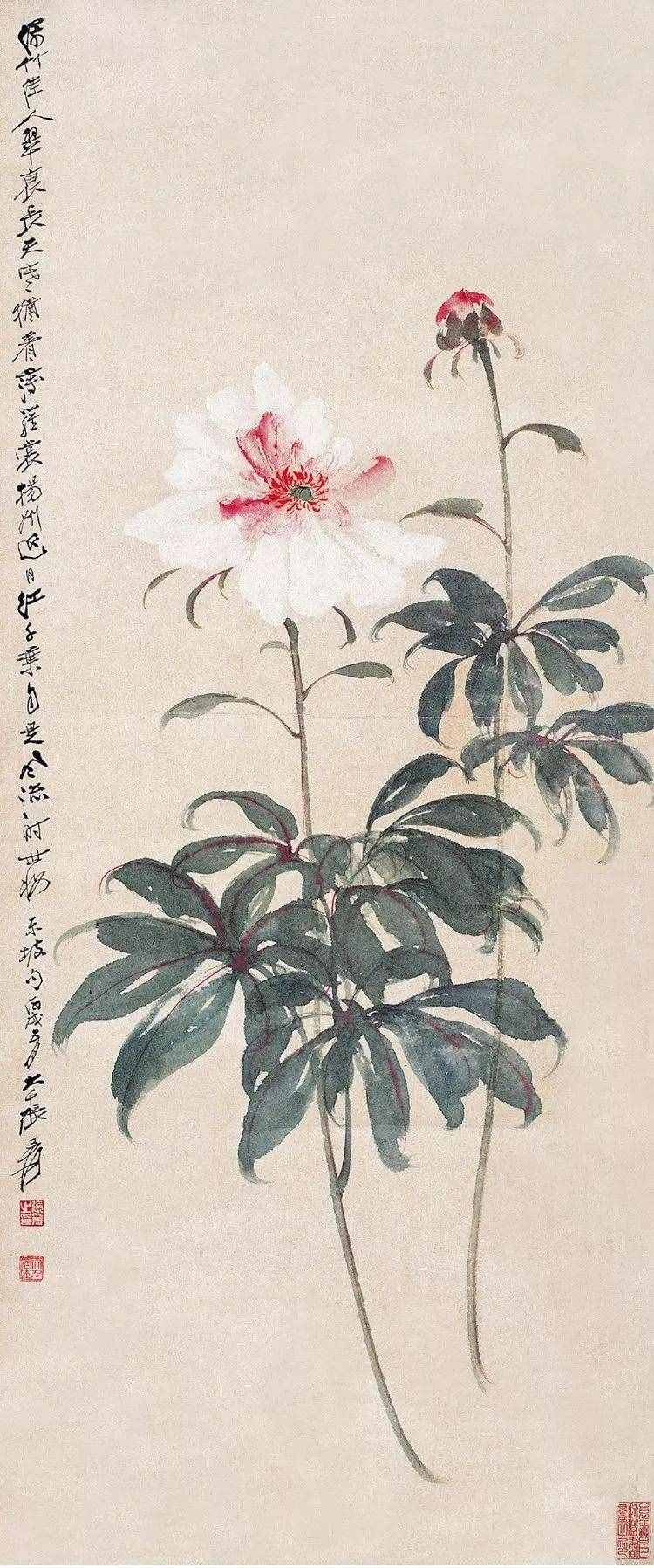 珍藏｜张大千花鸟画（100幅）