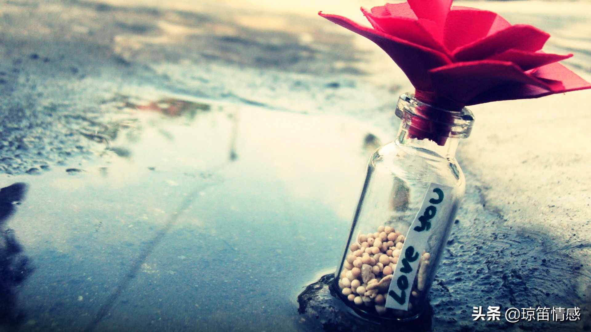 徐志摩：我将在茫茫人海中寻找唯一灵魂伴侣，得之我幸，失之我命