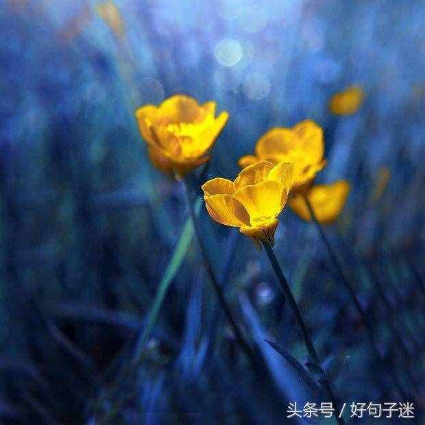 感性且不矫情的句子，句句走心，第一句就说出了我的心声！
