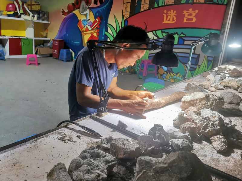 走进“恐龙之乡”探秘史前生物