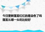 今日更新莲雾红红的是染色了吗 莲雾从哪一头吃比较好
