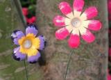今日更新手工花的做法（用矿泉水瓶制作小花）