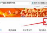 今日更新移动服务密码查询（手机服务密码怎么查和重置）
