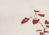 今日更新张大千擅长画什么（珍藏张大千花鸟画（100幅））