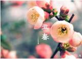 今日更新立春能理发吗（立春当天有哪些风俗讲究）