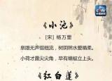 今日更新夏天的诗（25首关于夏天的经典诗词）
