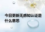今日更新无感知认证是什么意思