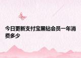 今日更新支付宝黑钻会员一年消费多少