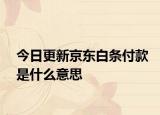 今日更新京东白条付款是什么意思