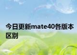 今日更新mate40各版本区别