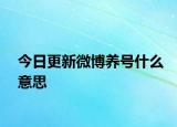 今日更新微博养号什么意思