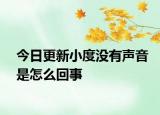 今日更新小度没有声音是怎么回事