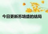 今日更新苏培盛的结局
