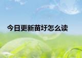 今日更新苗圩怎么读