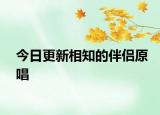 今日更新相知的伴侣原唱