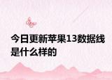 今日更新苹果13数据线是什么样的