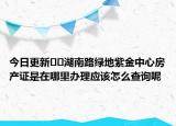 今日更新﻿﻿湖南路绿地紫金中心房产证是在哪里办理应该怎么查询呢