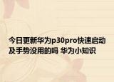 今日更新华为p30pro快速启动及手势没用的吗 华为小知识