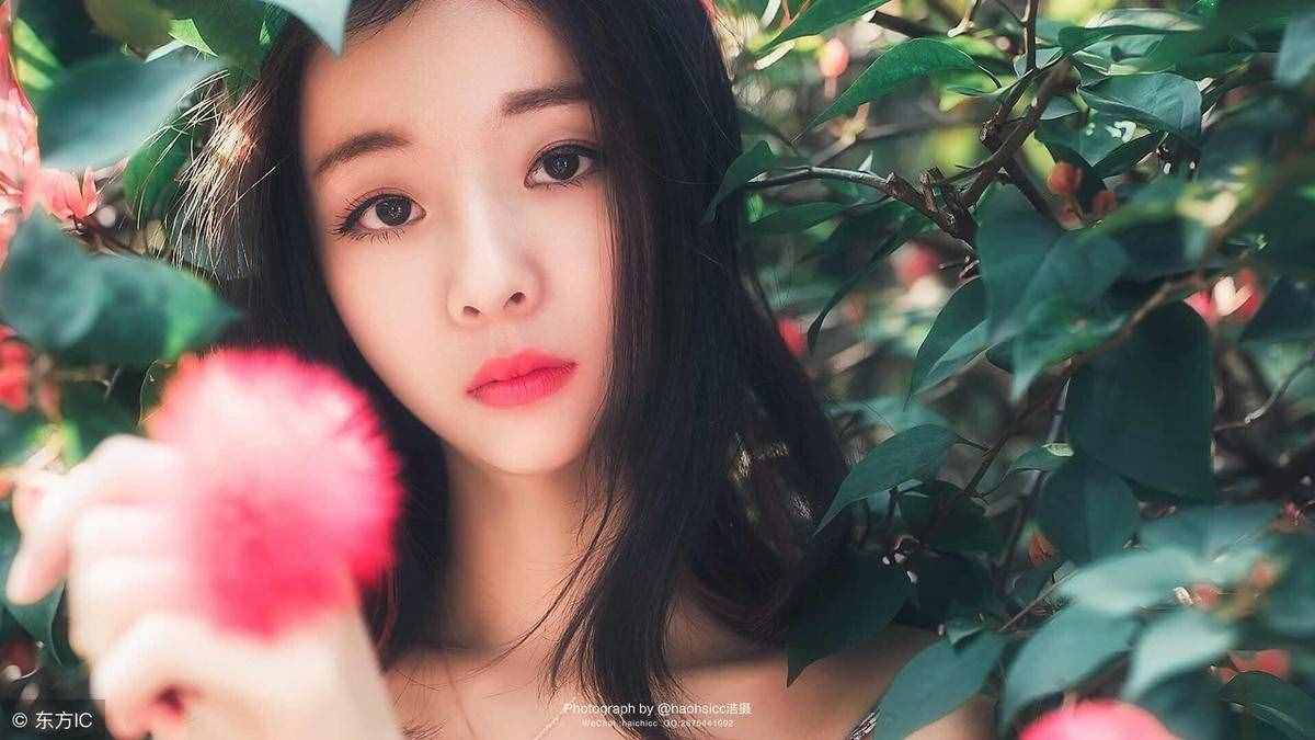 《憧憬》，一篇绝佳美文，值得一读！