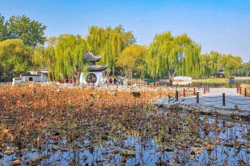 北京：陶然亭公园