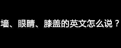 墙、眼睛、膝盖的英文怎么说?我爱你「抖音表情包」