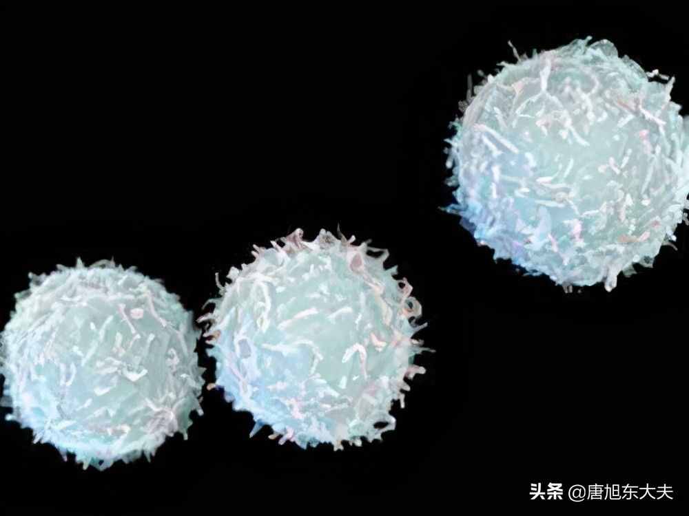 白细胞低会怎么样？怎么补白细胞快？