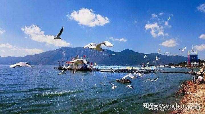 冬天去国内什么地方旅游比较好？