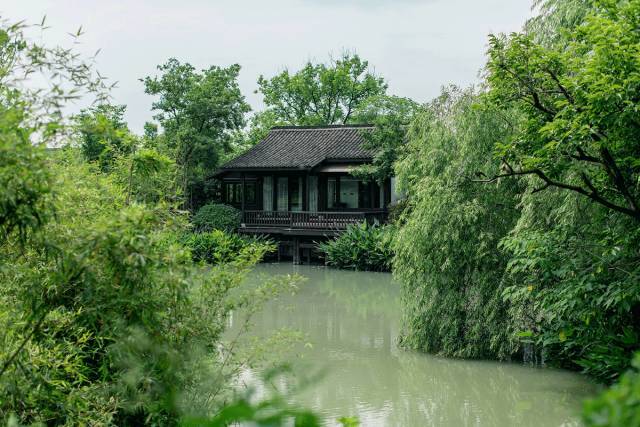 一方小院,心之归处