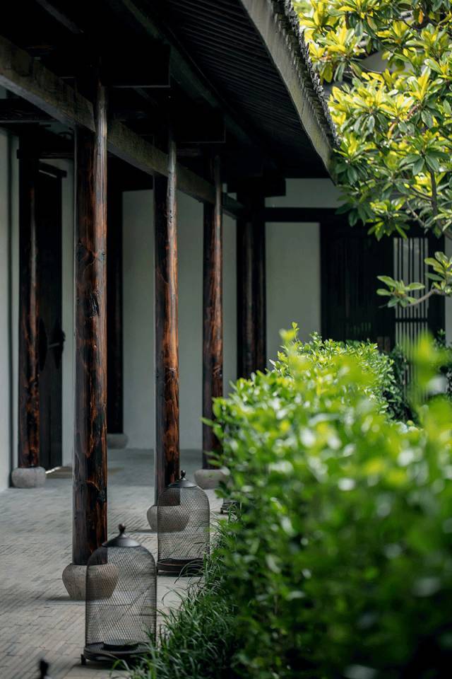 一方小院,心之归处