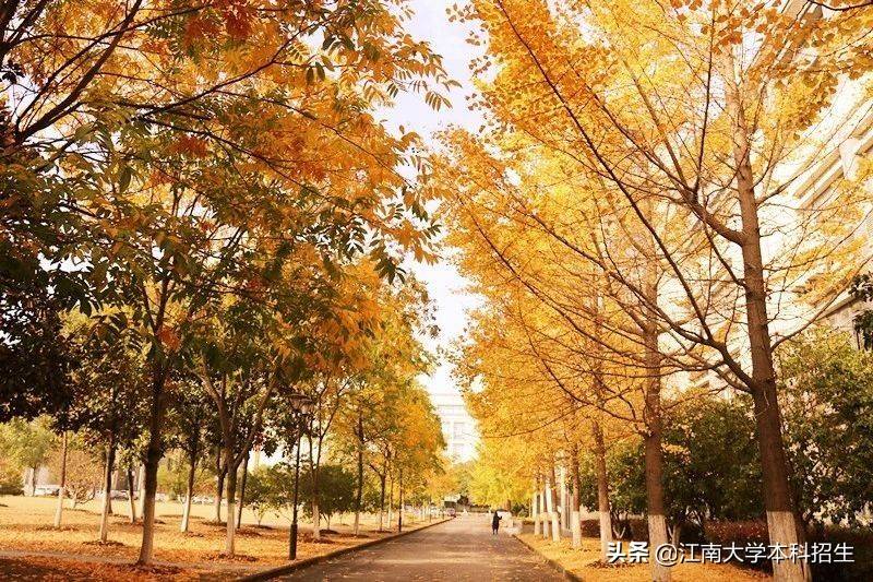 全国最美校园之一!江南大学今天63岁了!走出众多行业泰斗,频获世界!