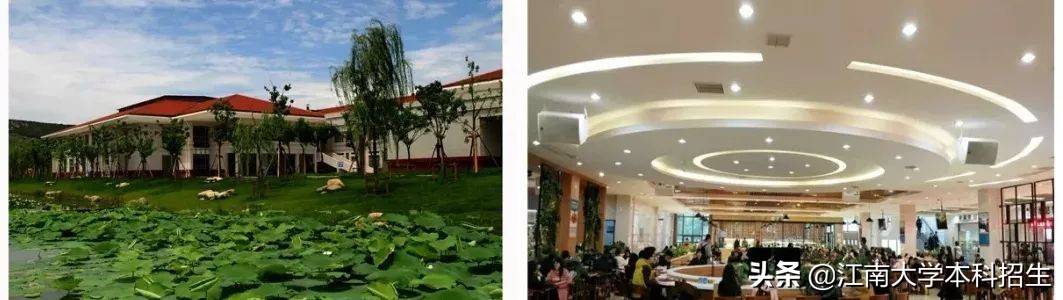 全国最美校园之一!江南大学今天63岁了!走出众多行业泰斗,频获世界!
