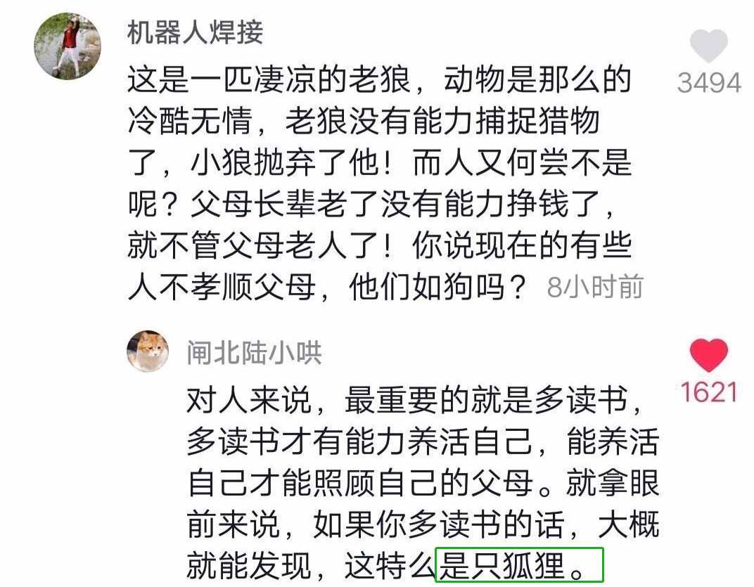 抖音神评论简直绝了！差点笑死在床上