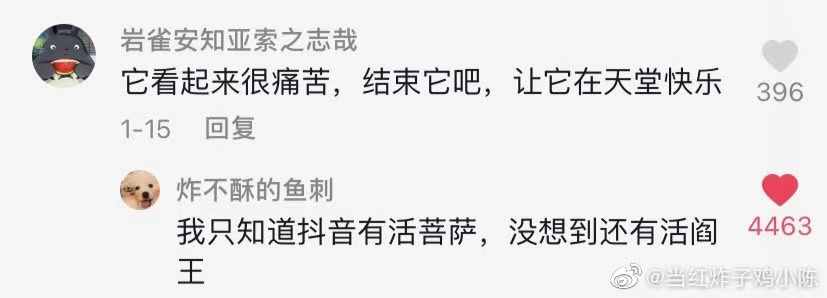 抖音神评论简直绝了！差点笑死在床上