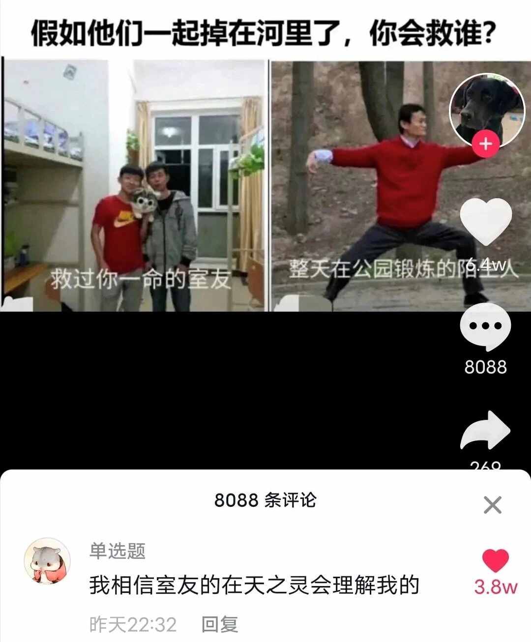 抖音神评论简直绝了！差点笑死在床上