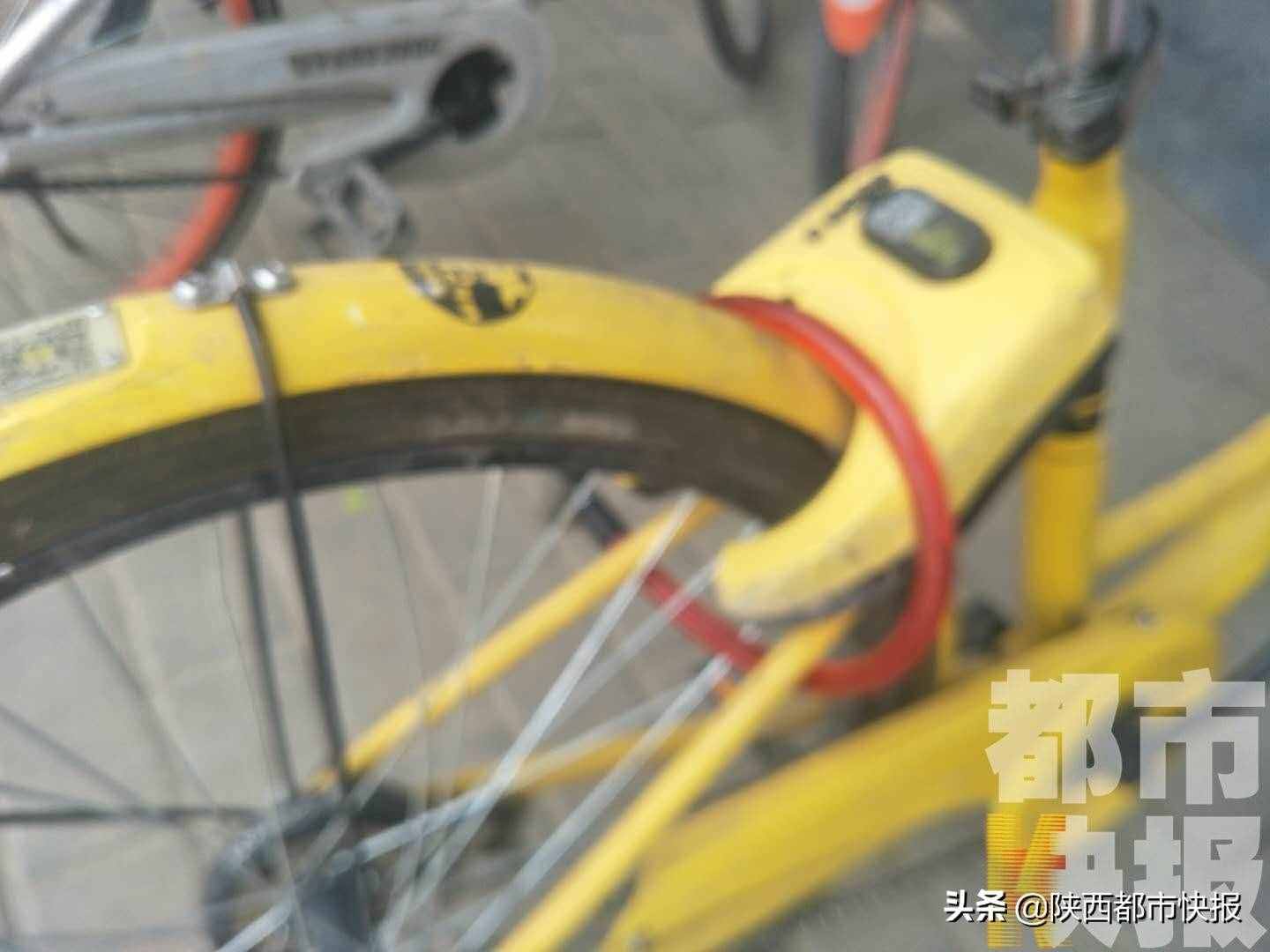 西安一工地外几十辆共享单车被上私锁 当事方称：需要大家理解