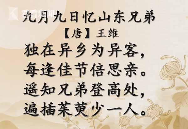 又是一年重阳节将至，有哪些习俗你知道吗？