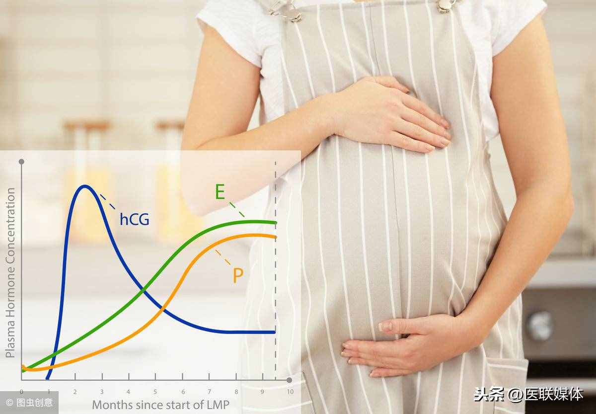 孕酮和HCG是什么意思？保持在这一范围，就算很正常