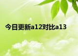 今日更新a12对比a13