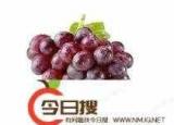 今日更新葡萄英语怎么读（葡萄用英语怎么说读）