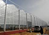 今日更新大棚怎么样建造的（土建基础应该怎样做吗）