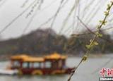 今日更新惊蛰是什么意思（惊蛰是什么意思怎么读）